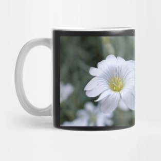 White flower Mug